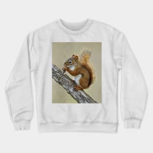 Red Squirrel Crewneck Sweatshirt